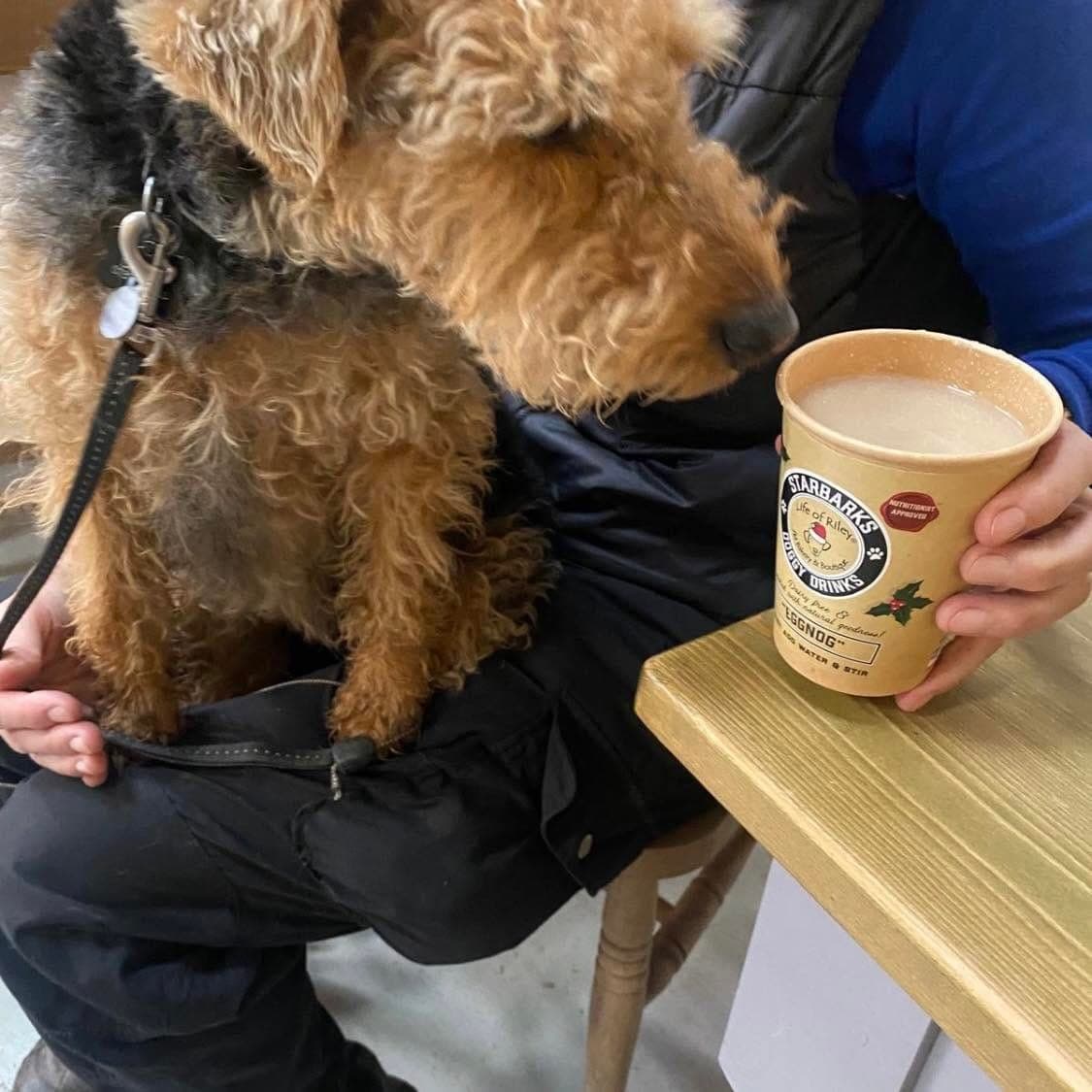 A dog snuggled up next to a coffee at a café table